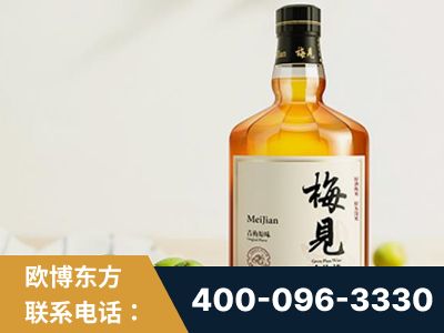 安阳-梅见青梅酒