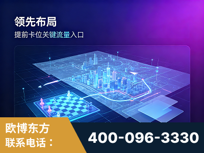 安阳-领先布局：于2024年初开启GEO业务的公司